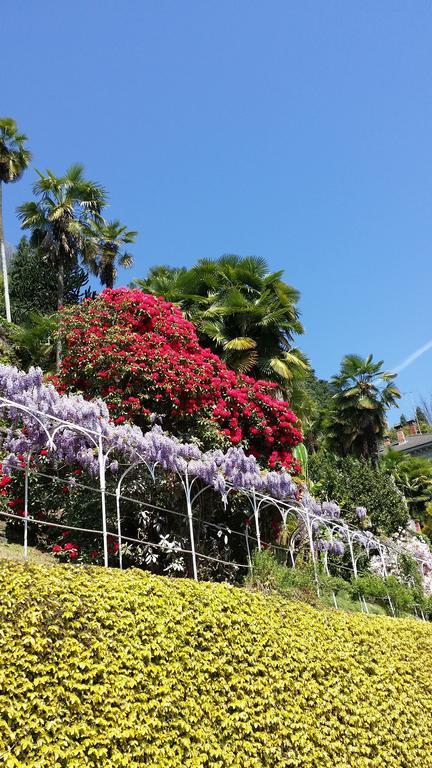 Appartamenti Orta Orta San Giulio Quarto foto